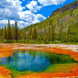 João Cláudio Silva