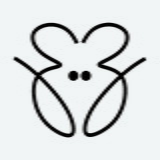 ZeeZoo Papelaria Artesanal