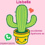 Lisbella & Suculentas