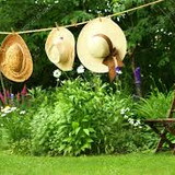 ALESSANDRA MARTINS DE SOUZA MELLO