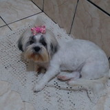 Joana Carneiro de Araújo Oliveira