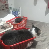 Wania Vilaça Maciel