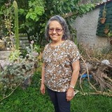 Dora Lúcia Anholeti