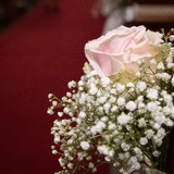 Ana Paula Bombassaro Muniz