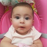 FLAVIA CASSORLA ROCHA FIGUEREDO SILVA