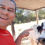 Marcelo Marques Lobo