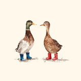 Camila Verrilo de Araújo