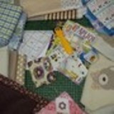 Rosania zorzolli Reinhardt Severo