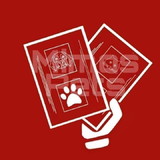 INGLED EMELY ROSA MARTINS