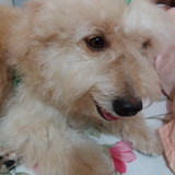 RUBENEIDE FURTADO DE SA