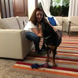 Maria de Fátima Bezerra