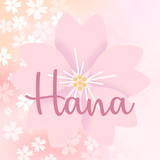 Hana Personalizados