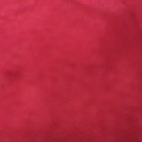 Cristiana Vieira dos Anjos