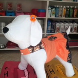 Claudio Adão Olavo manoel