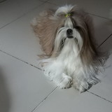 Lúcia Ramos de Lira Ferreira