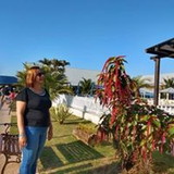 Viviane Maria Barbosa