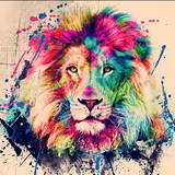 Ana Paula de Barros Rocha