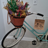 Maristela Ronconi Lopes de Oliveira