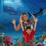 Aline de Souza Faustino