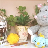 Vera lucia Bassetto Delcorso