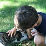 Camil Saldanha Fetter