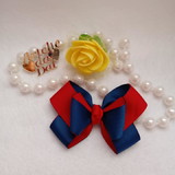 Dalmiram rodrigues pereira