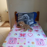 Carmem Lucia de Magalhães Moraes