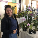 VANESSA M L BORDINHÃO