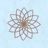 Giovanna Oliveira de Almeida