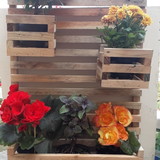 Margarete Rocha Maciel dos Santos