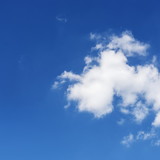 OLAVO EGYDIO SETUBAL JUNIOR