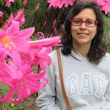 Solange Tamara Fonseca