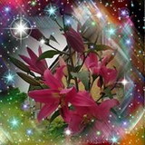 Rafaela tainara roque da silva