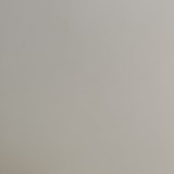 randolfo alves de araujo neto