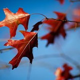 Clinica Continental Consultorio