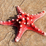 ARIANE BIANCA DOS SANTOS