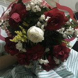 Malanny Santos Araújo