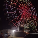 Marcia Aparecida Nazario Dalecio