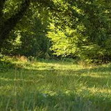 AGATHA RAISSA PASQUALINI SIMOES