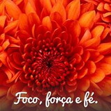 Alessandra Ferreira da Cruz