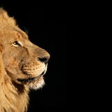 Israel Braga da Silva