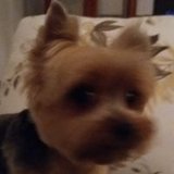 Rita de Cássia Madureira Pereira