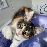 Jaqueline Souza Santos