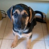 Richard Junior Dos Santos da Silva