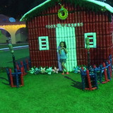 Lolla Personalizados