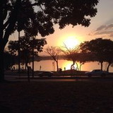 rosana de oliveira gonçalves