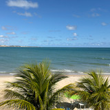 Joanna Beatriz Curado Elias