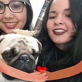 Ir para o perfil do usuário