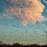 Eliete Da Silva Santos