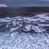 Maria Cecilia Vellutini